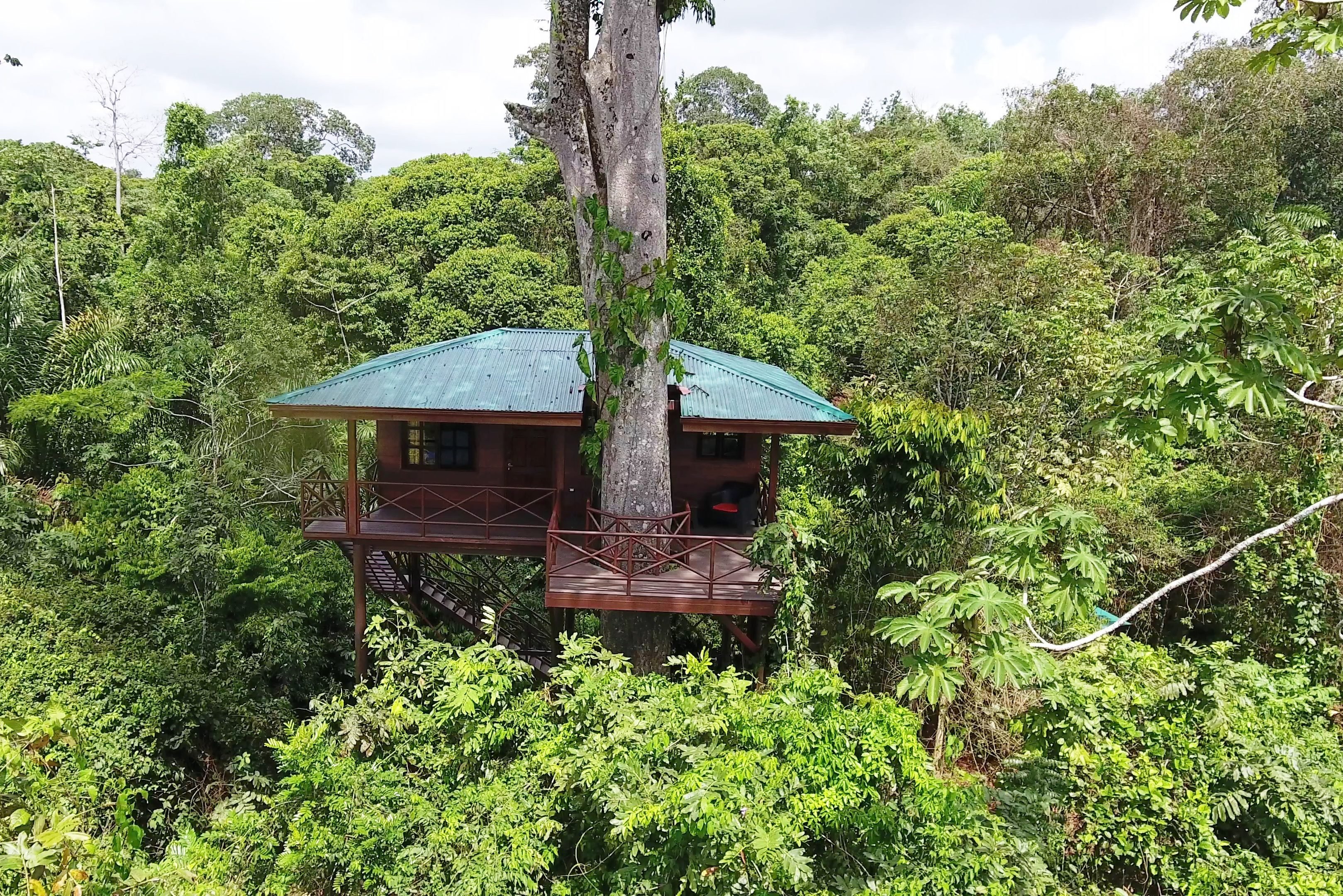 Costa-rica- Maquenque-lodge-boomhut